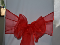 Organza Wedding Sashes